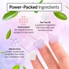 grace & stella Award Winning Pore Strip – Pimple Patches for Face(216 Count (Pack of 1))